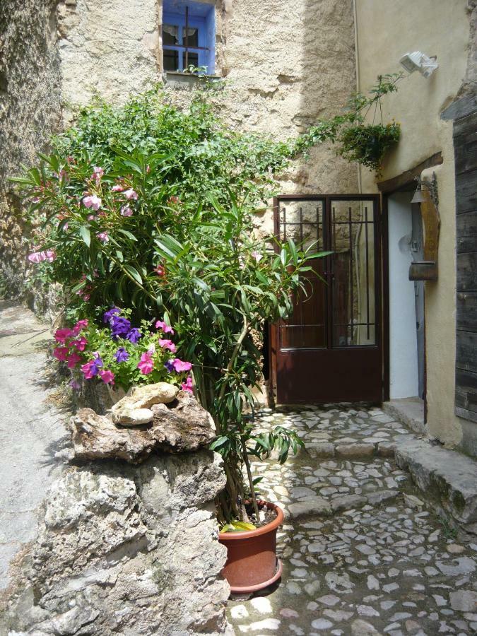 Le Pra De Pe Bed and Breakfast Cotignac Eksteriør billede
